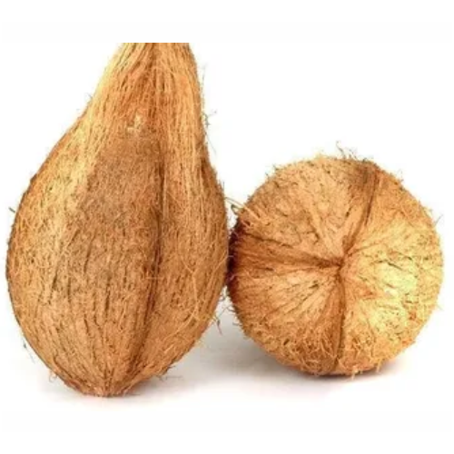 Global Essentials Exim - Trusted organic Husked Coconut & Semi Husked Coconut wholesale supplier