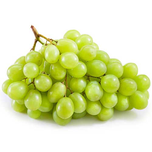 Global Essentials Exim - top largest fresh organic grapes manufacturer & exporter