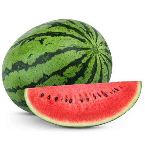 Global Essentials Exim - top largest fresh organic watermelon manufacturer & exporter