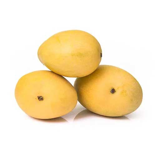 Global Essentials Exim - Top largest verified premium quality fresh Mango exporter
