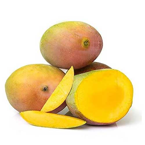 Global Essentials Exim - top largest fresh organic sindhura mango manufacturer & exporter
