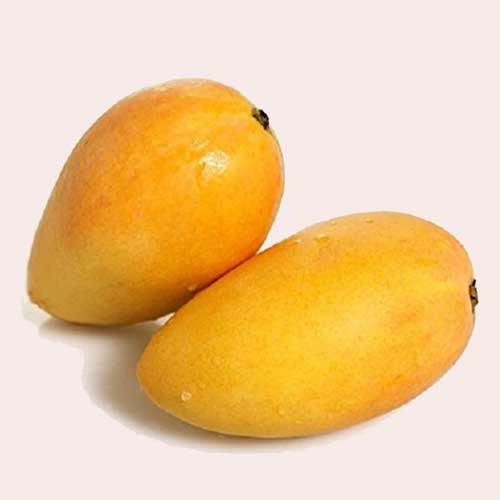 Global Essentials Exim - top largest fresh organic malika mango manufacturer & exporter