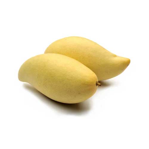 Global Essentials Exim - top largest fresh organic totapuri mango manufacturer & exporter