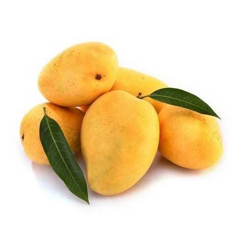 Global Essentials Exim - top largest fresh organic kesar mango manufacturer & exporter