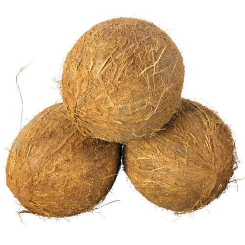 Trusted fresh organic Husked Coconut & Semi Husked Coconut dealer