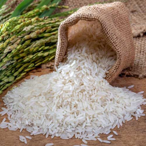 Global Essentials Exim - online top verified premium quantity organic non basmati rice manufacturer