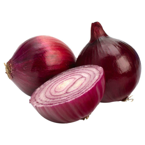 Top Largest Onion Exporter in Andhra Pradesh India